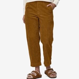 Patagonia Wide-Wale Corduroy Pants Size 2 Shelter Brown